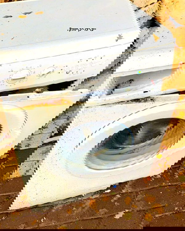 tuliprivet tuliprivet archive image