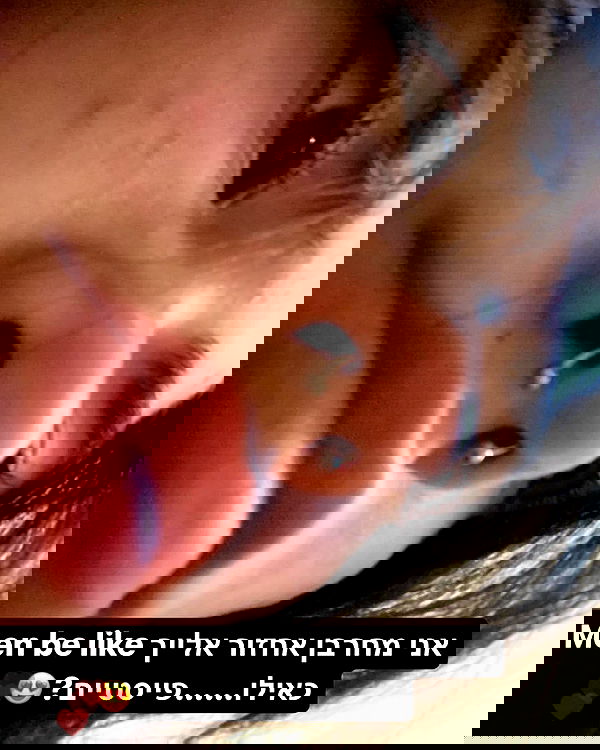 tuliprivet tuliprivet archive image