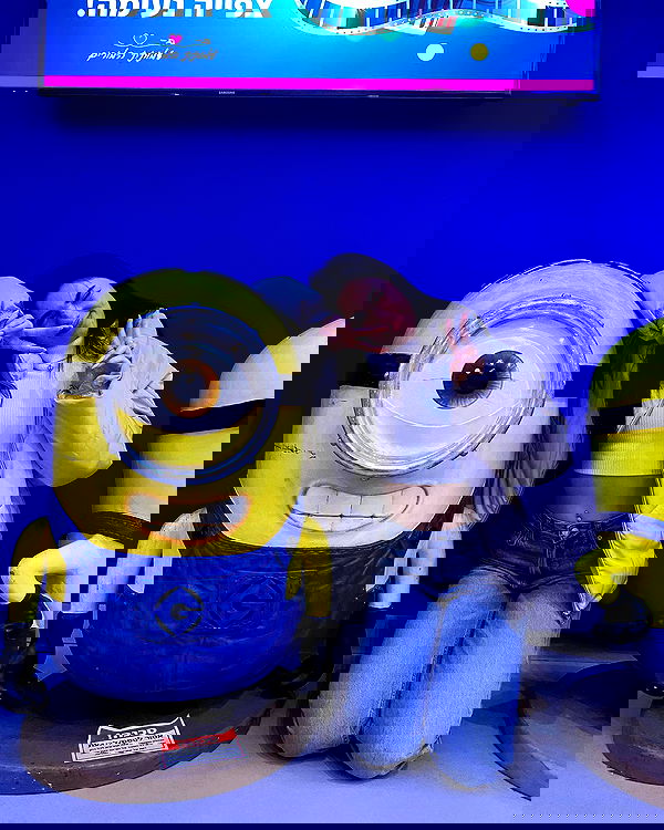 tuliprivet tuliprivet archive image