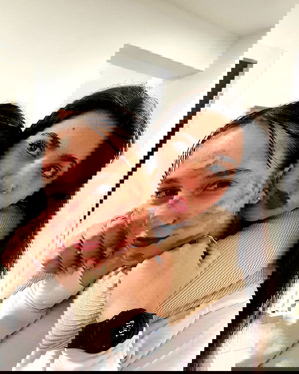 tuliprivet tuliprivet archive image