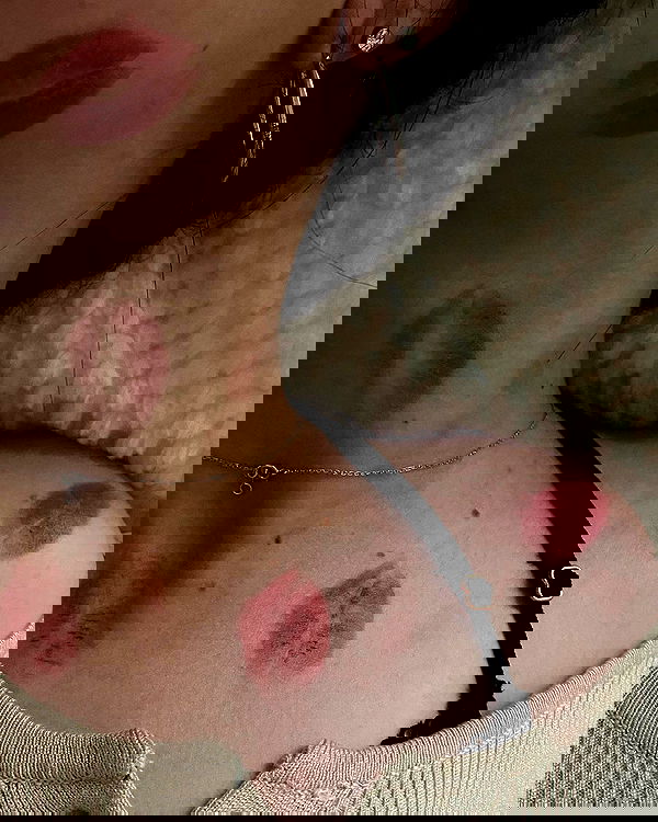 tuliprivet tuliprivet archive image