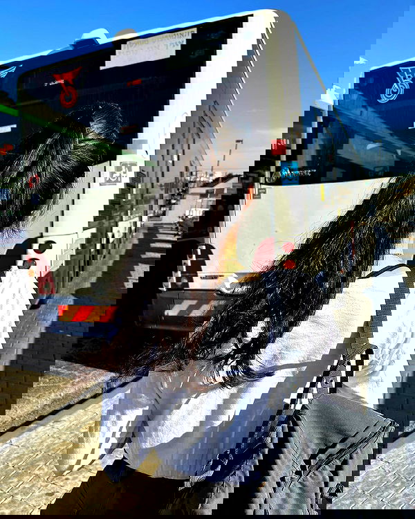 tuliprivet tuliprivet archive image