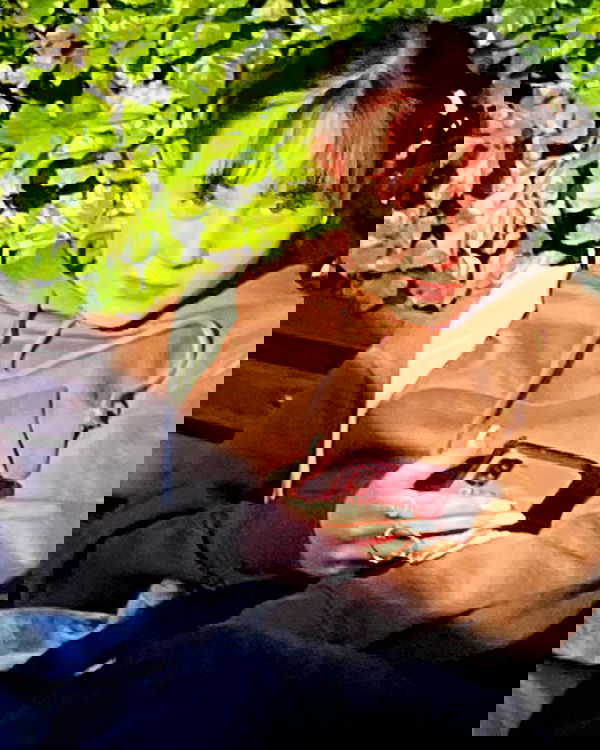 tuliprivet tuliprivet archive image