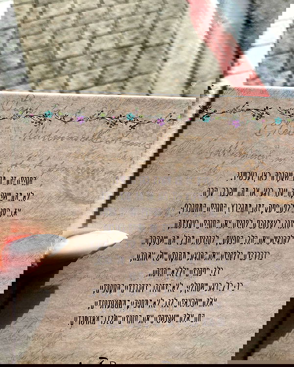 tuliprivet tuliprivet archive image