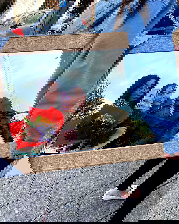 tuliprivet tuliprivet archive image