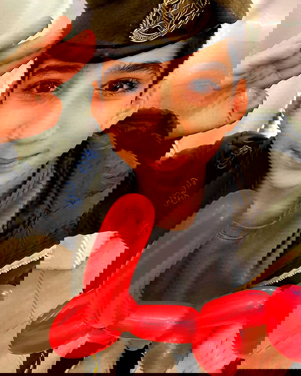 tuliprivet tuliprivet archive image