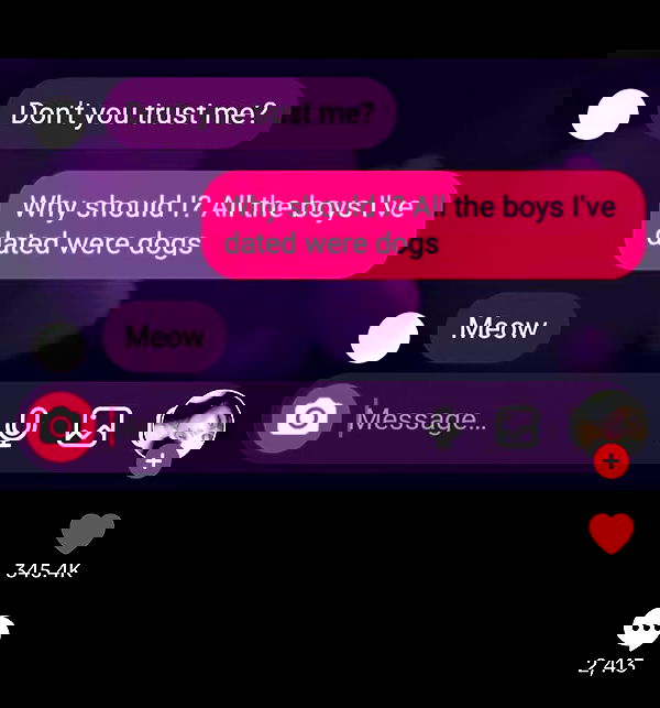 tuliprivet tuliprivet archive image