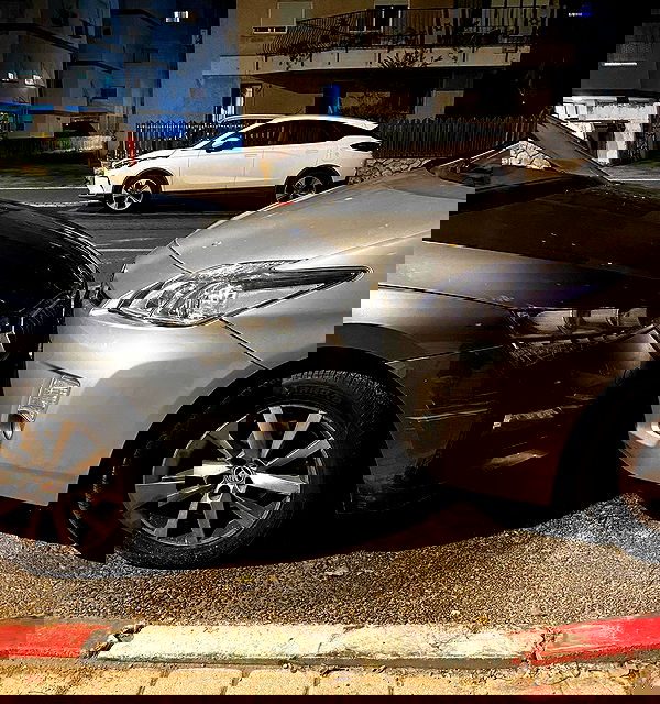 tuliprivet tuliprivet archive image