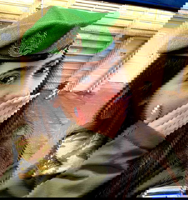 tuliprivet tuliprivet archive image