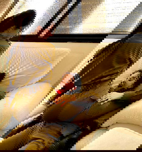 tuliprivet tuliprivet archive image