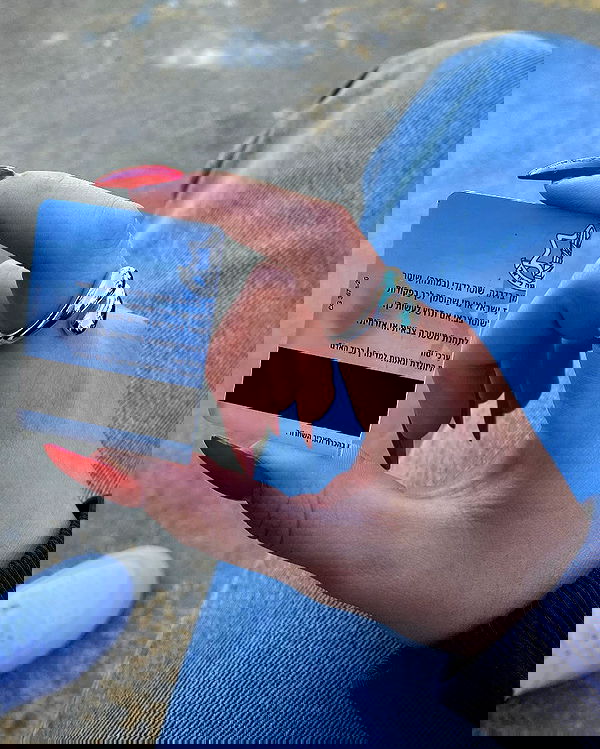 tuliprivet tuliprivet archive image