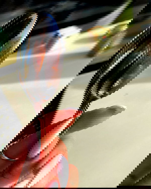 tuliprivet tuliprivet archive image