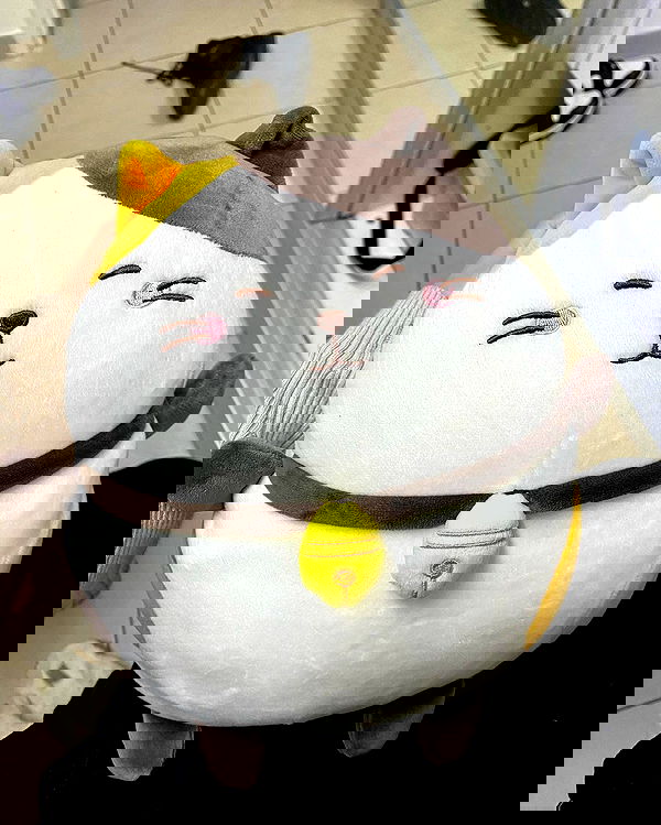 tuliprivet tuliprivet archive image