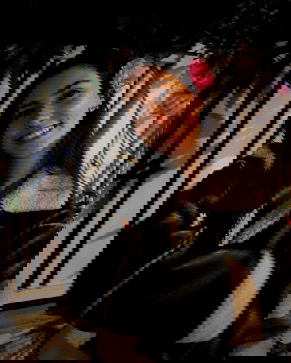 tuliprivet tuliprivet archive image