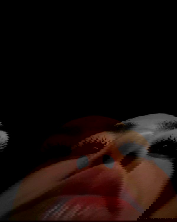 tuliprivet tuliprivet archive image