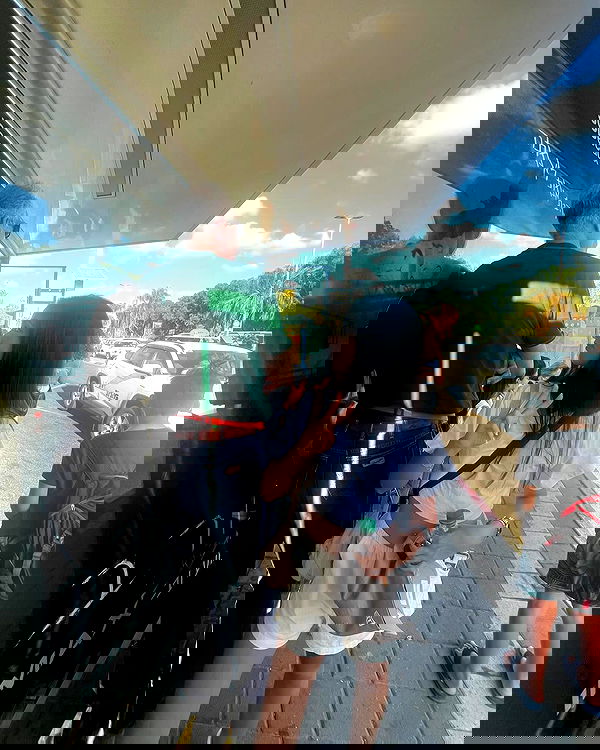 tuliprivet tuliprivet archive image