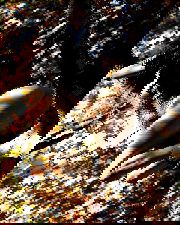 uniquexbrat image ~ Altpins