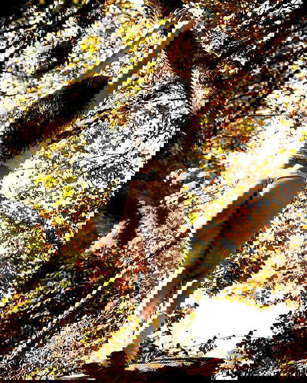 uniquexbrat image ~ Altpins