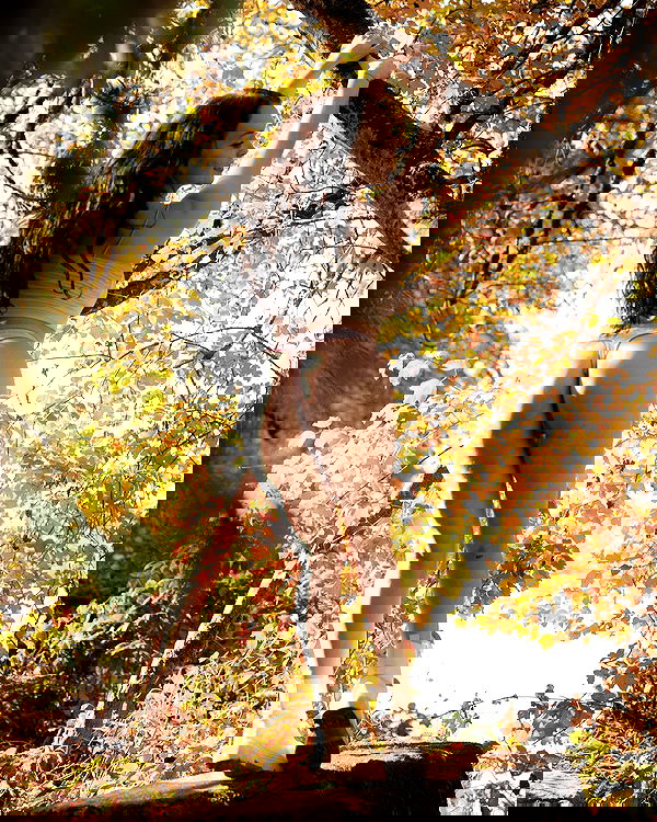 uniquexbrat image ~ Altpins