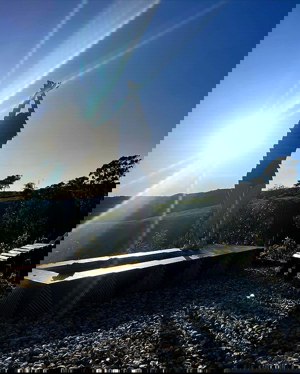 uniquexbrat image ~ Altpins