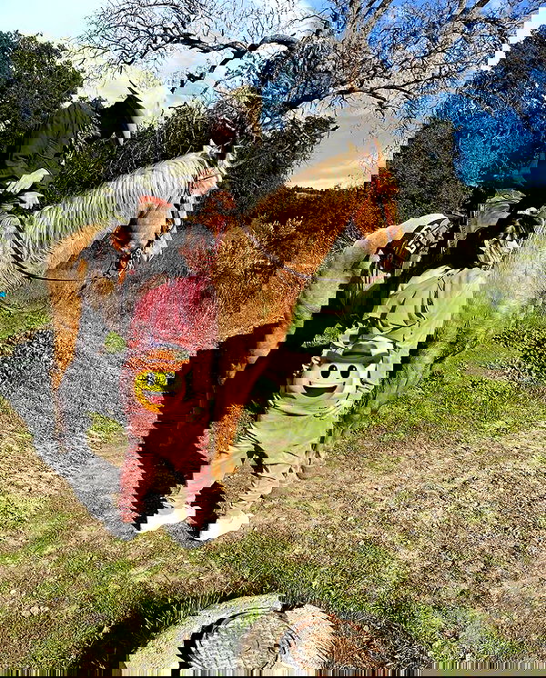 uniquexbrat image ~ Altpins