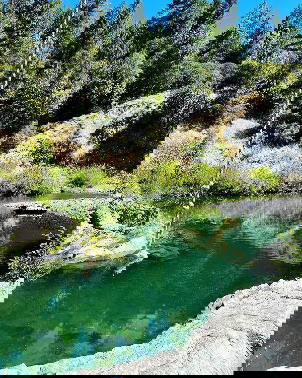 uniquexbrat image ~ Altpins