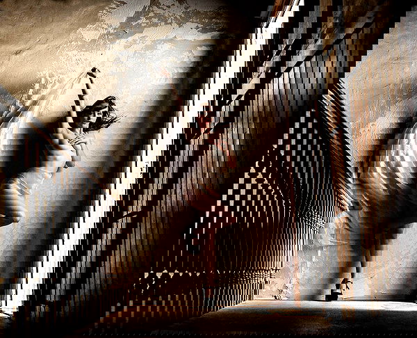 uniquexbrat image ~ Altpins