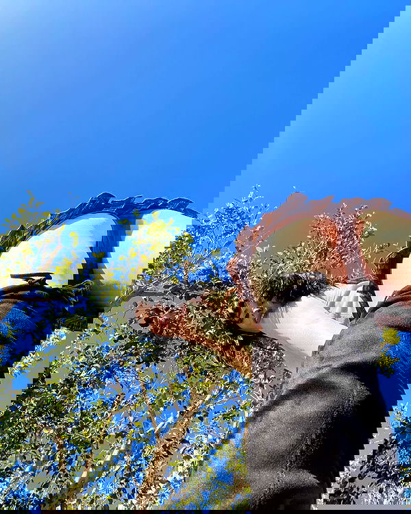 uniquexbrat image ~ Altpins