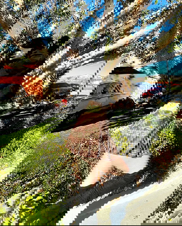 uniquexbrat image ~ Altpins