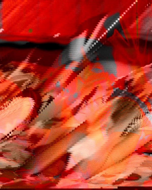 uniquexbrat image ~ Altpins