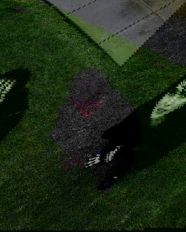 uniquexbrat image ~ Altpins