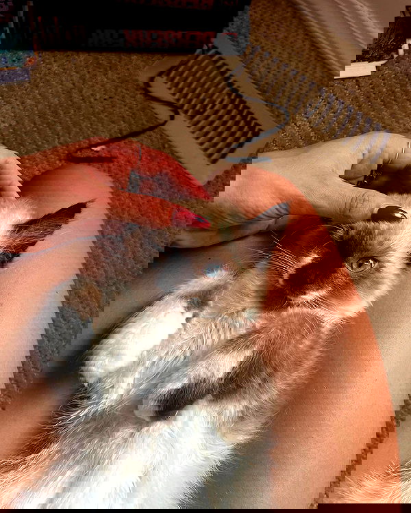 urfavbellabby urfavbellabby archive image