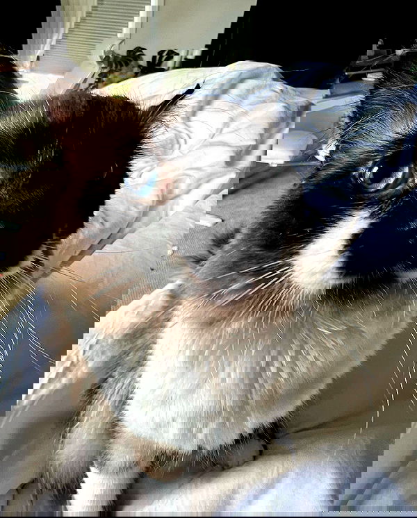 urfavbellabby urfavbellabby archive image