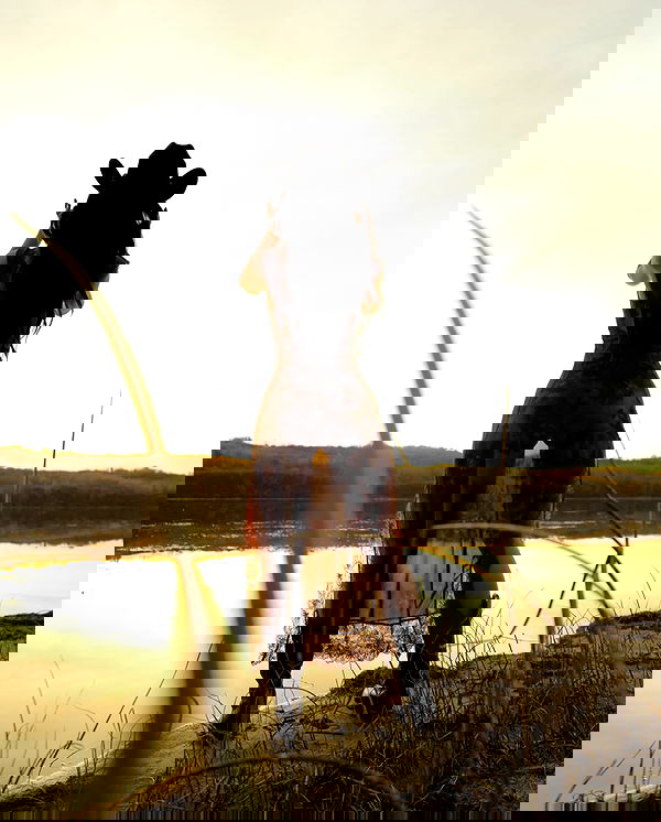 urfavbellabby urfavbellabby archive image