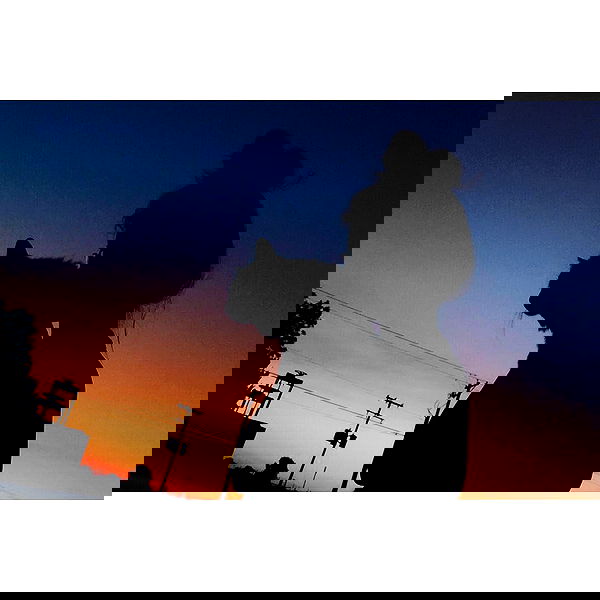 v.okay image ~ Altpins