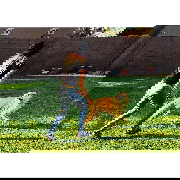 v.okay image ~ Altpins