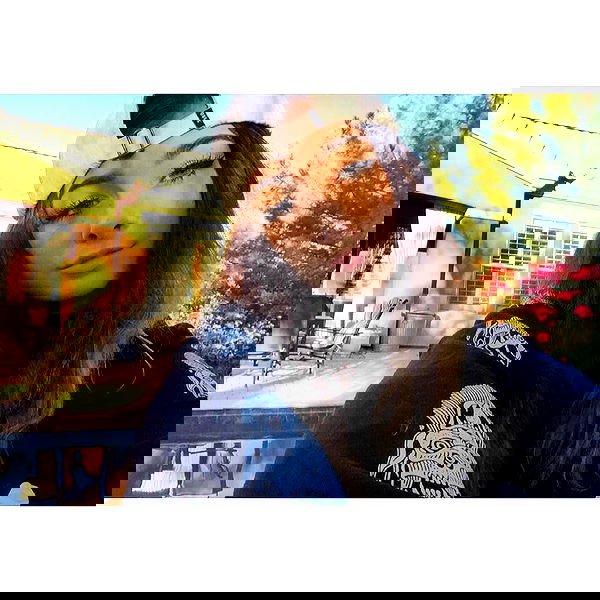 v.okay image ~ Altpins