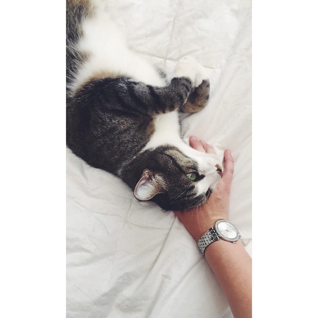 v.okay instagram image archive image