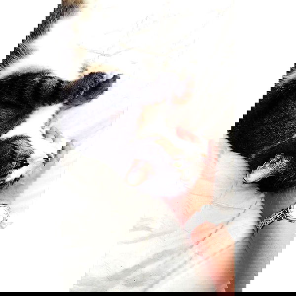 v.okay image ~ Altpins