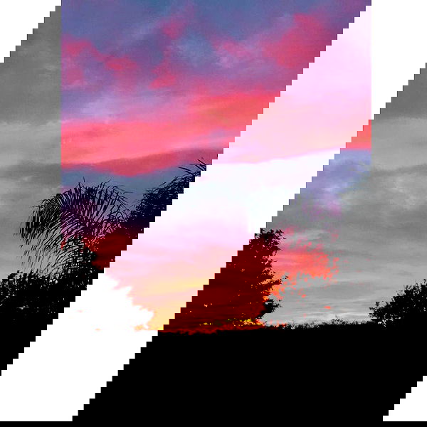 v.okay image ~ Altpins