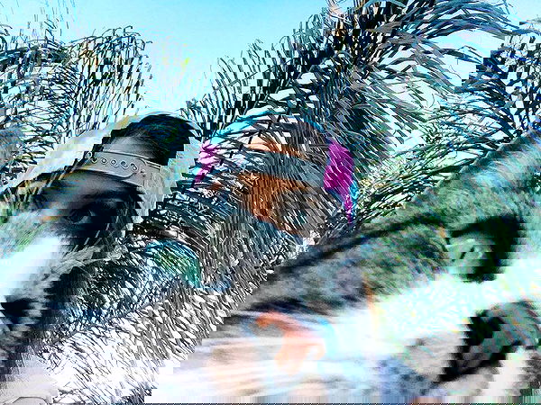 v.okay image ~ Altpins