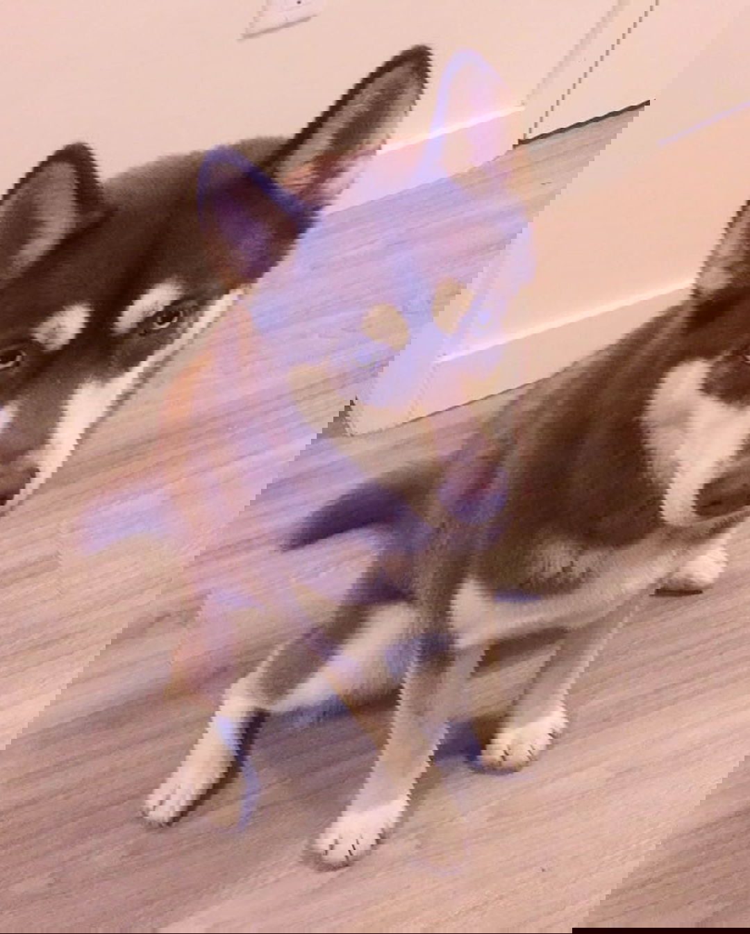 v.okay instagram image archive image