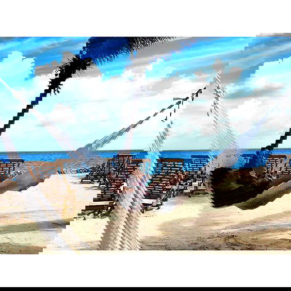 v.okay image ~ Altpins