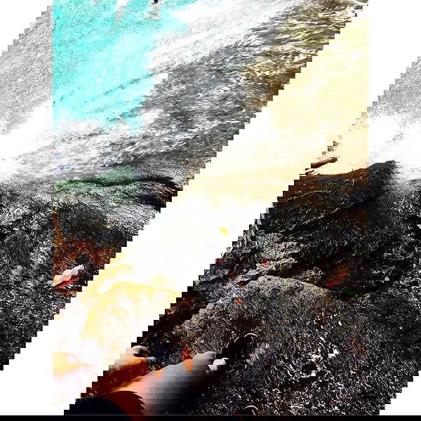 v.okay image ~ Altpins