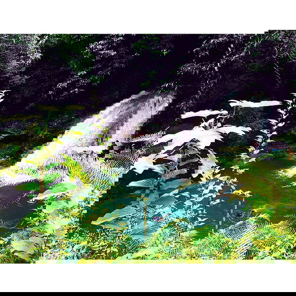 v.okay image ~ Altpins