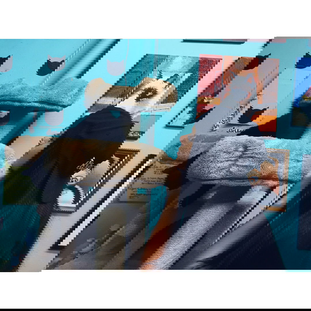 v.okay instagram image archive image