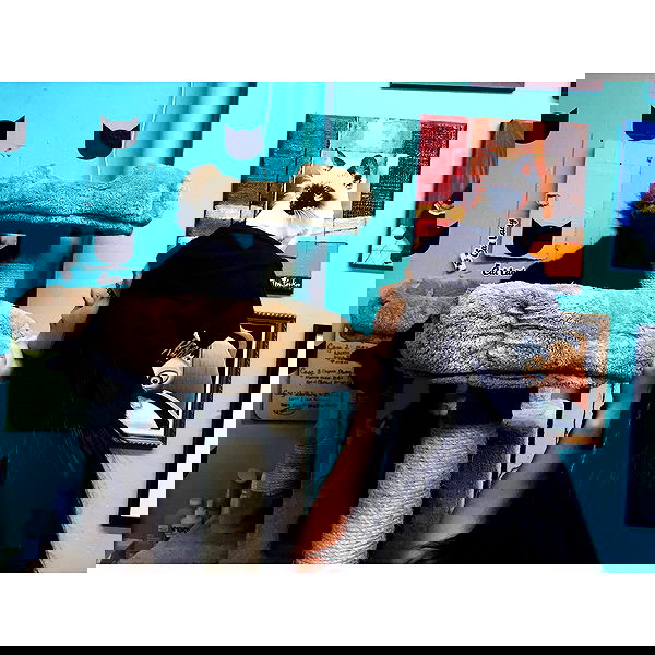 v.okay image ~ Altpins