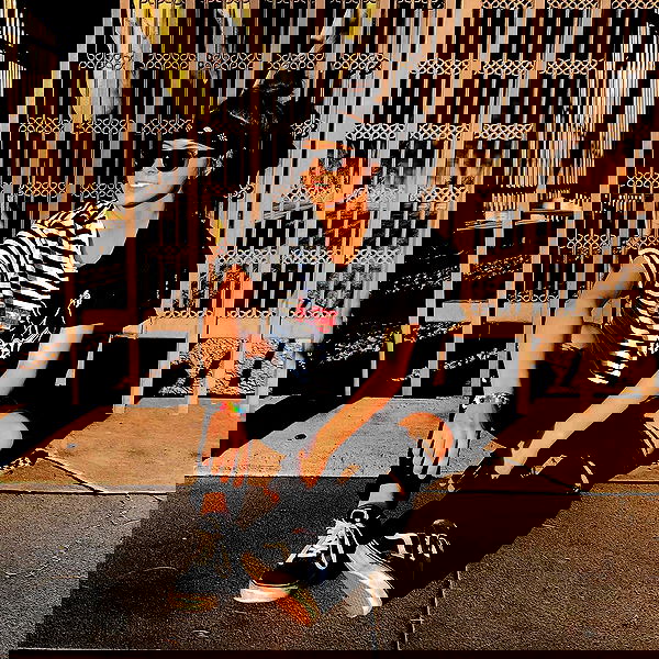 v.okay image ~ Altpins