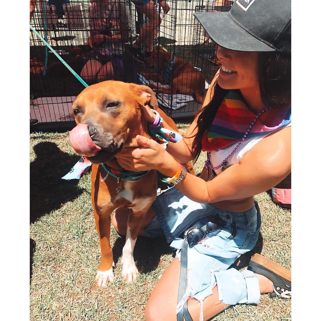 v.okay instagram image archive image