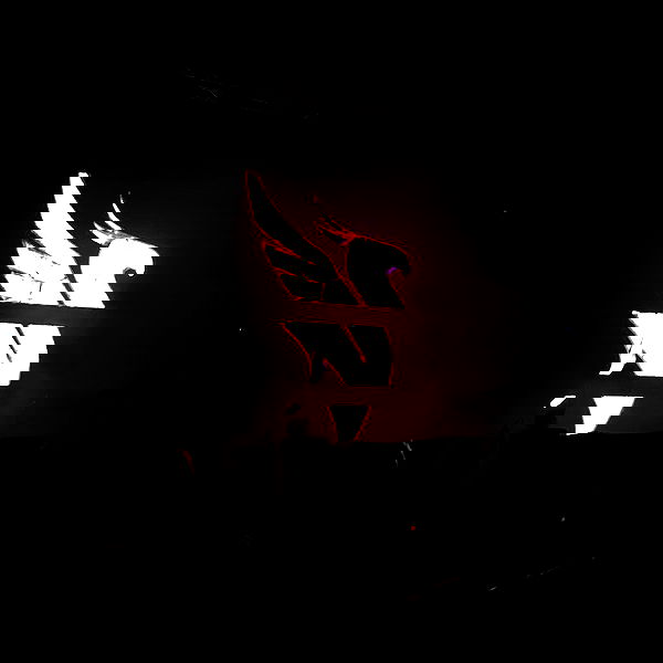 v.okay image ~ Altpins